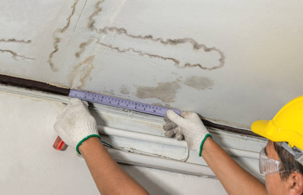 Reliable Water Damage contractor in Commerce, TX by Water Damage Irwin